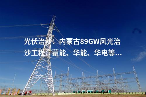 分散式風電：布置3臺5MW風電機組，一鄉(xiāng)村振興風電中標人公示