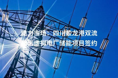 數智化：國內首個村級自治微電網示范工程正式建成投運