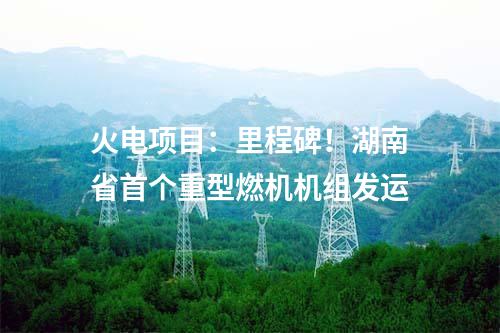 水電項(xiàng)目：總裝機(jī)1050MW！貴州烏江思林水電站順利通過工程竣工驗(yàn)收