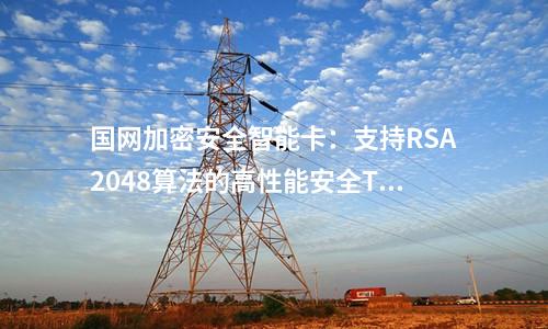 國網(wǎng)加密安全智能卡：支持個人數(shù)字身份證書存儲的高性能安全TF卡