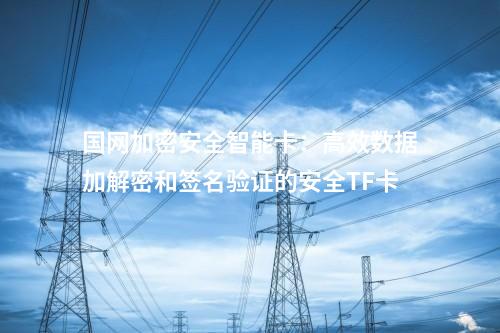 國網(wǎng)加密安全智能卡：高效數(shù)據(jù)加解密和簽名驗證的安全TF卡