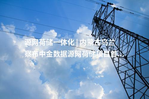源網(wǎng)荷儲一體化 | 內(nèi)蒙古烏蘭察布中金數(shù)據(jù)源網(wǎng)荷儲項目首臺風(fēng)機基礎(chǔ)完成澆筑