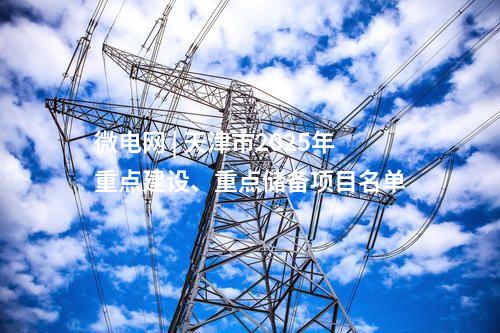 微電網(wǎng) | 天津市2025年重點(diǎn)建設(shè)、重點(diǎn)儲(chǔ)備項(xiàng)目名單