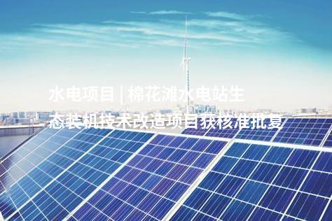 異質(zhì)結(jié)組件 | 5GW高效異質(zhì)結(jié)組件首件下線！