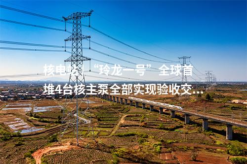 核電站 | “玲龍一號”全球首堆4臺核主泵全部實現驗收交付！