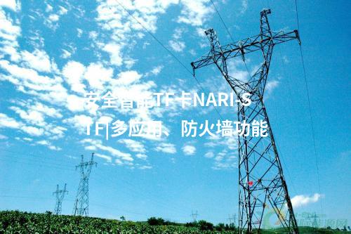 安全智能TF卡NARI-STF|多應(yīng)用、防火墻功能