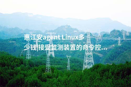 廠站網絡安全監測軟件（agent）|安裝在工作站和嵌入式主機中。