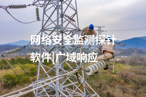 網絡安全監測探針軟件|廣域響應