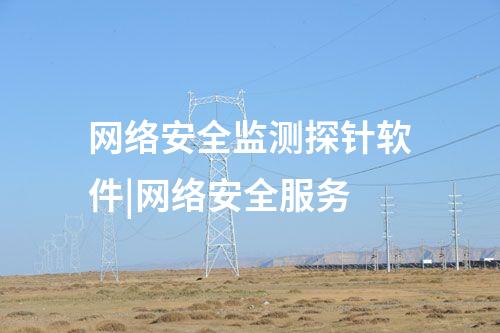 網絡安全監測探針軟件|網絡安全服務