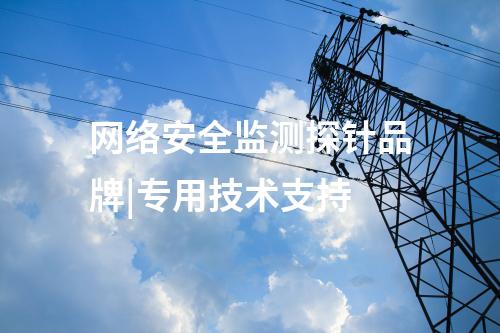 網(wǎng)絡(luò)安全監(jiān)測(cè)探針品牌|專用技術(shù)支持