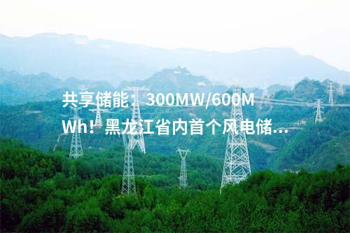 共享儲(chǔ)能：300MW/600MWh！黑龍江省內(nèi)首個(gè)風(fēng)電儲(chǔ)能項(xiàng)目開(kāi)工